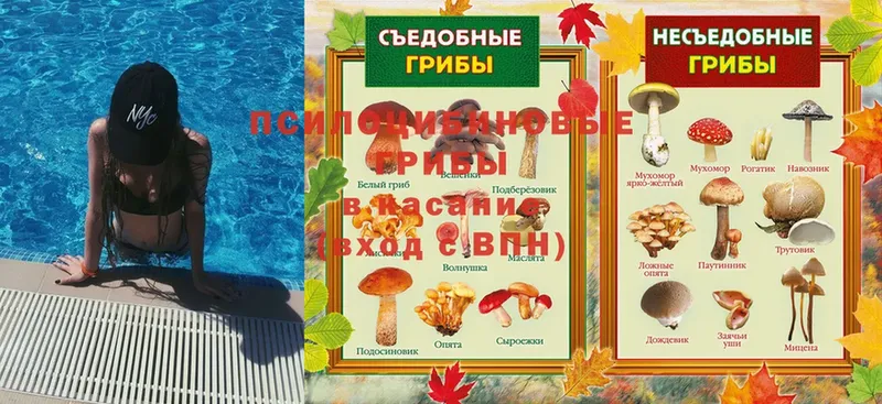 Галлюциногенные грибы Magic Shrooms  даркнет как зайти  Заполярный 